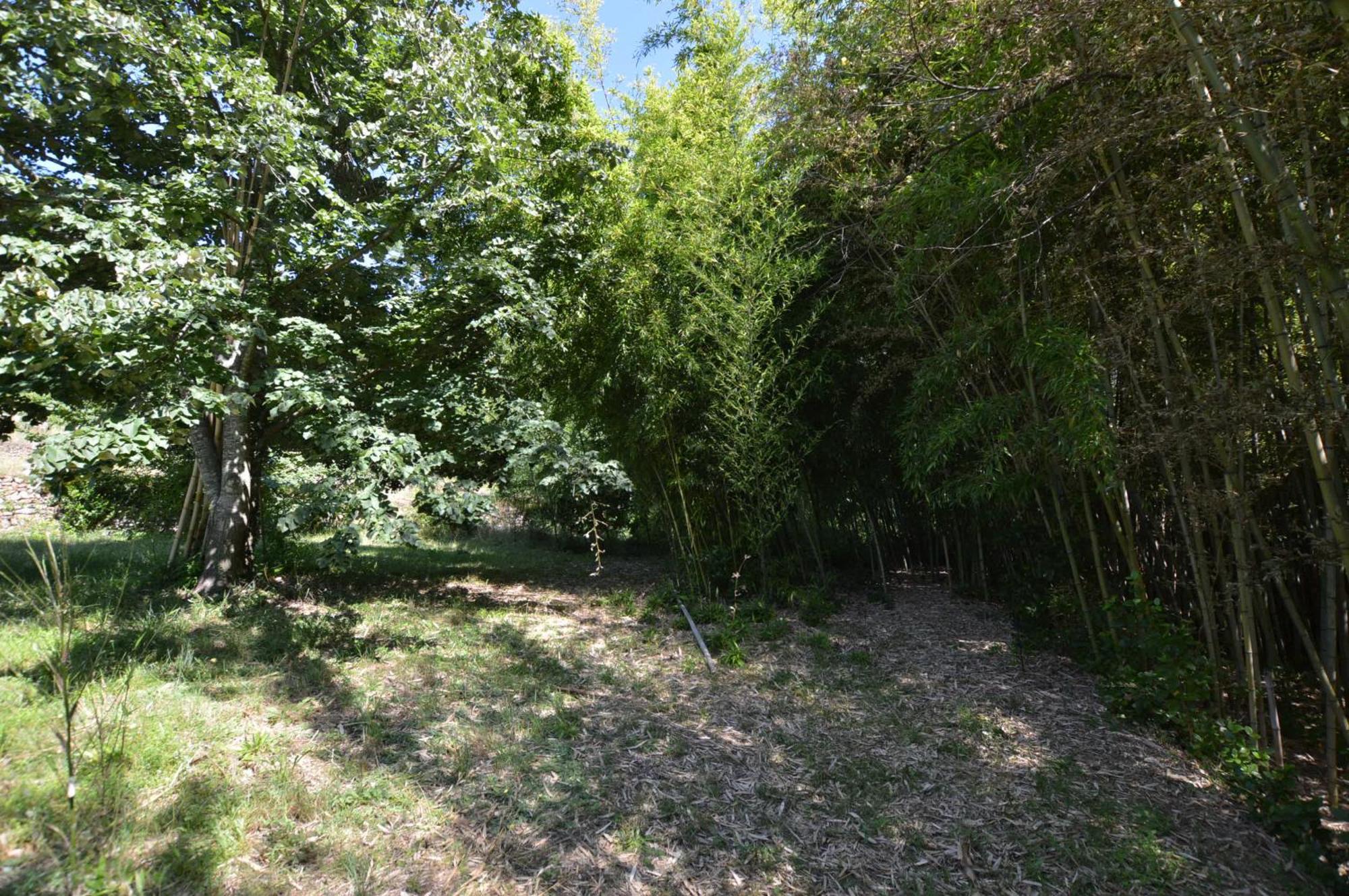 Mas Des Druilles Panzió Generargues Kültér fotó